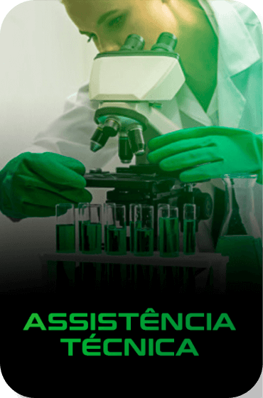 Assistência Técnica